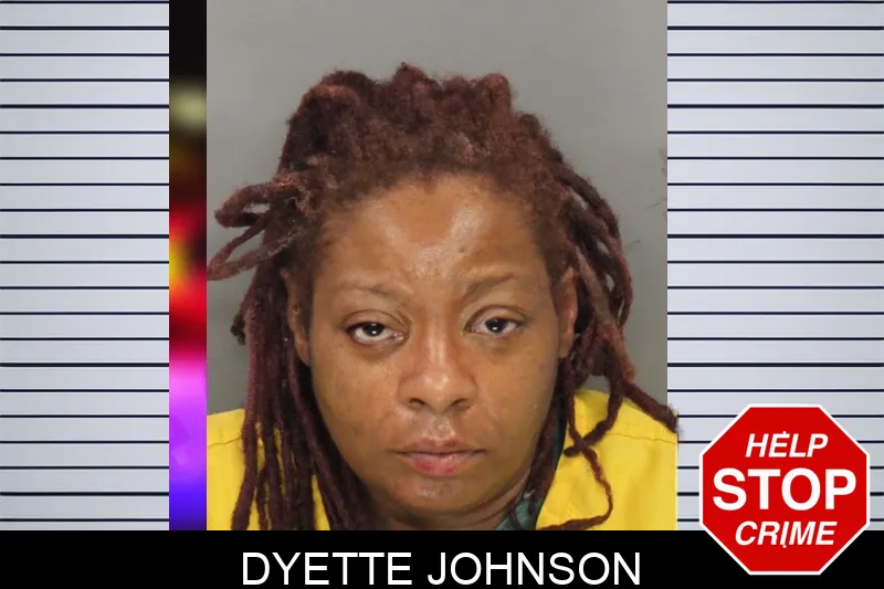 Dyette Johnson Mugshots
