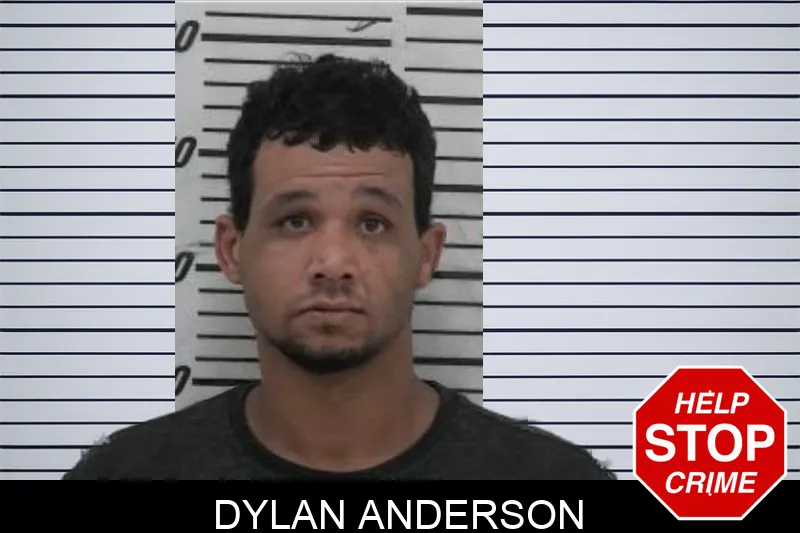 Dylan Anderson Mugshots