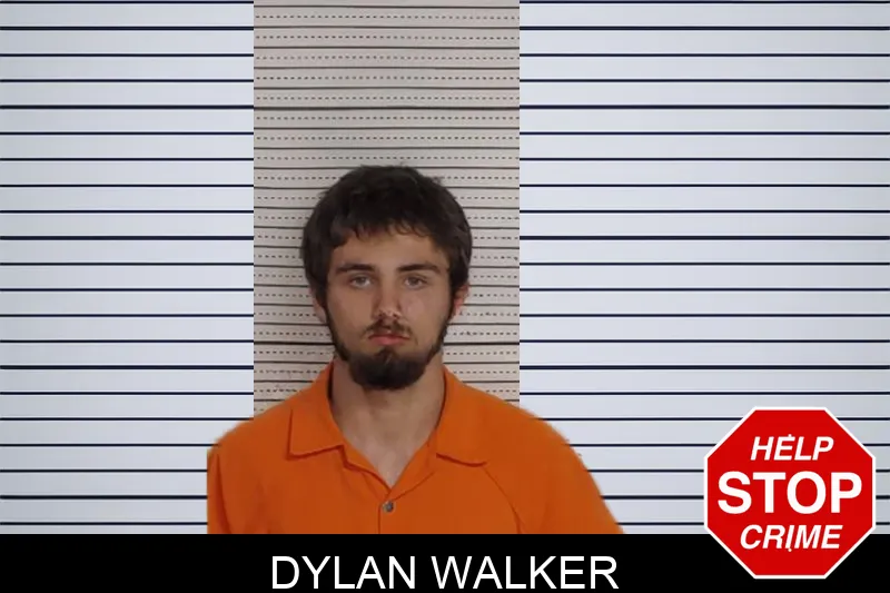 Dylan Walker Mugshots