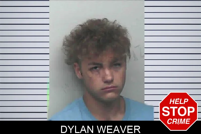 Dylan Weaver