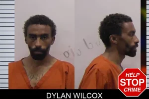 Dylan Wilcox mugshot