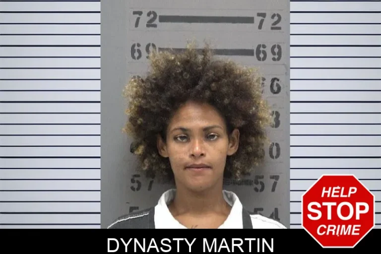 Dynasty Martin