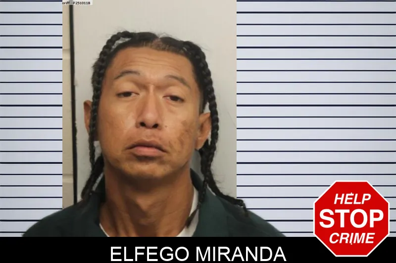 Elfego Miranda mugshot – Chatham County , Georgia Elfego Miranda mugshot