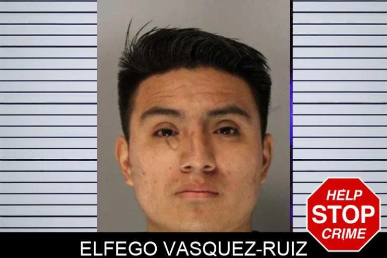 Elfego Vasquez-Ruiz mugshot – Hall County , Georgia Elfego Vasquez-Ruiz