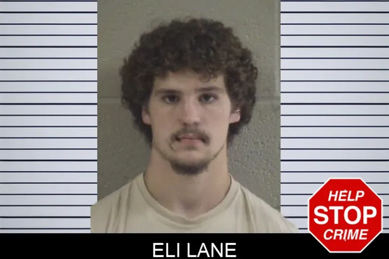 Eli Lane
