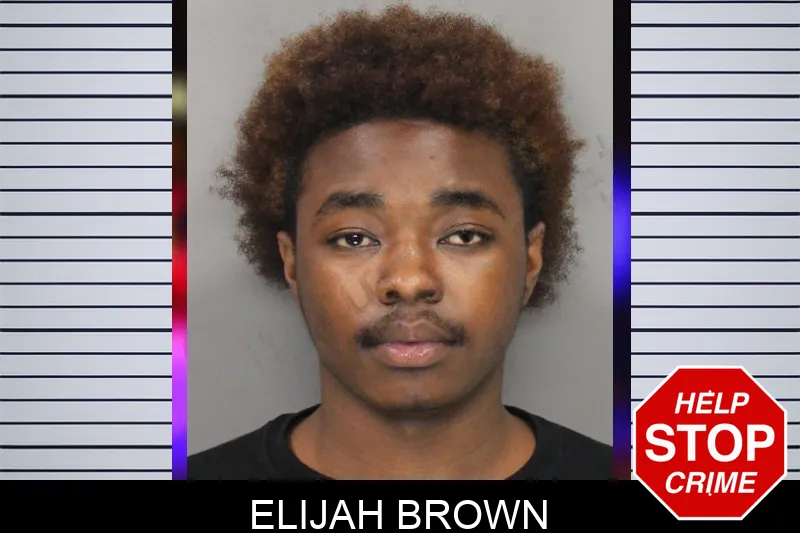 Elijah Brown mugshot – Cobb County , Georgia Elijah Brown mugshot