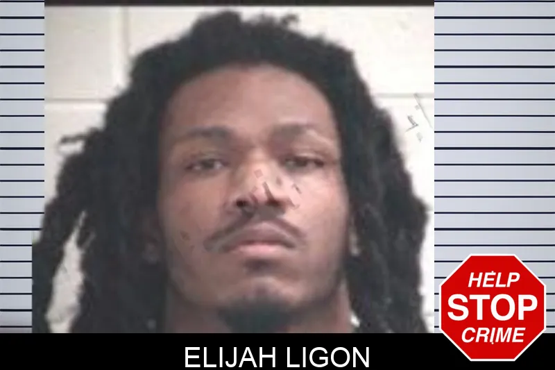Elijah Ligon mugshot – Henry County , Georgia Elijah Ligon mugshot
