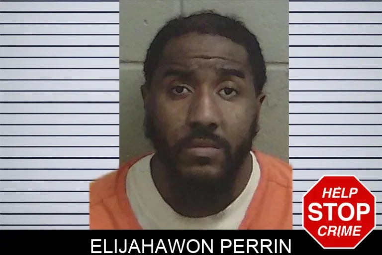 Elijahawon Perrin mugshot – Wayne County , Georgia Elijahawon Perrin