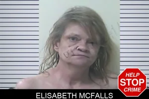 Elisabeth McFalls mugshot