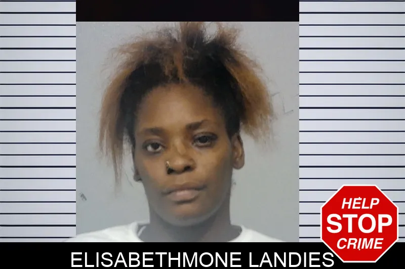 Elisabethmone Landies mugshot – Bibb County , Georgia Elisabethmone Landies mugshot