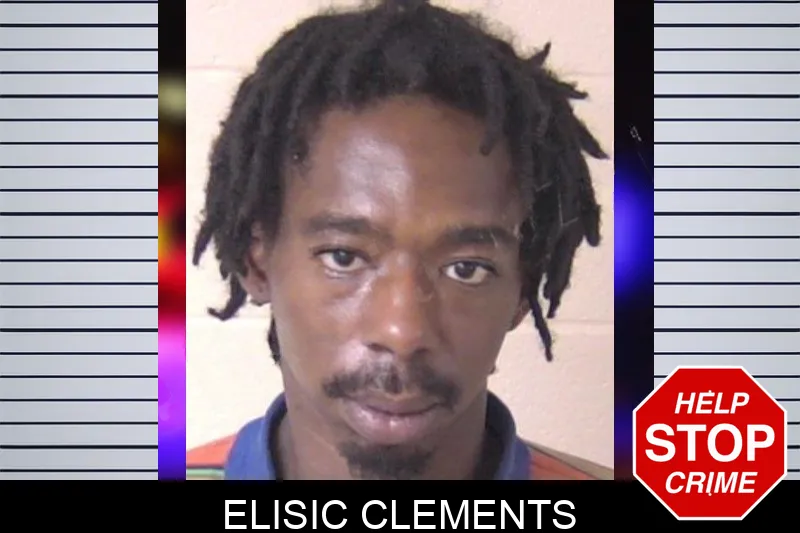 Elisic Clements mugshot