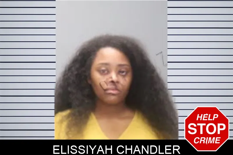 Elissiyah Chandler mugshot