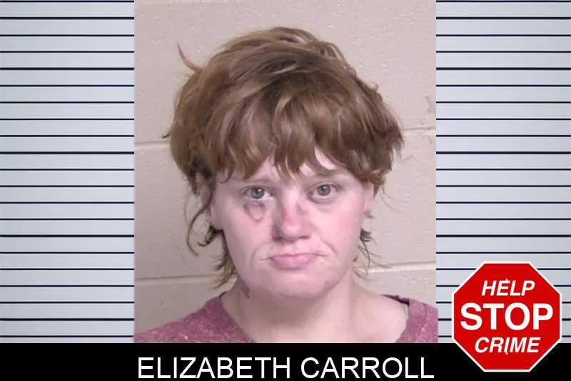 Elizabeth Carroll Mugshots