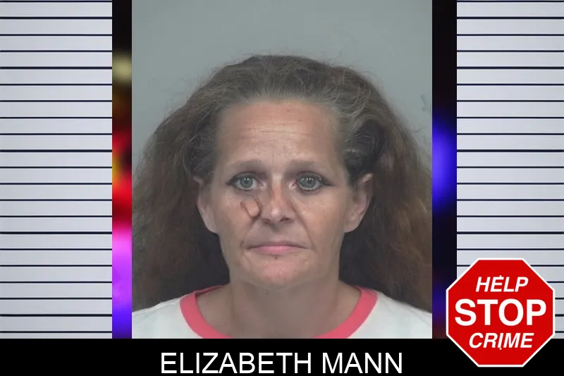Elizabeth Mann mugshot – Gwinnett County , Georgia Elizabeth Mann mugshot
