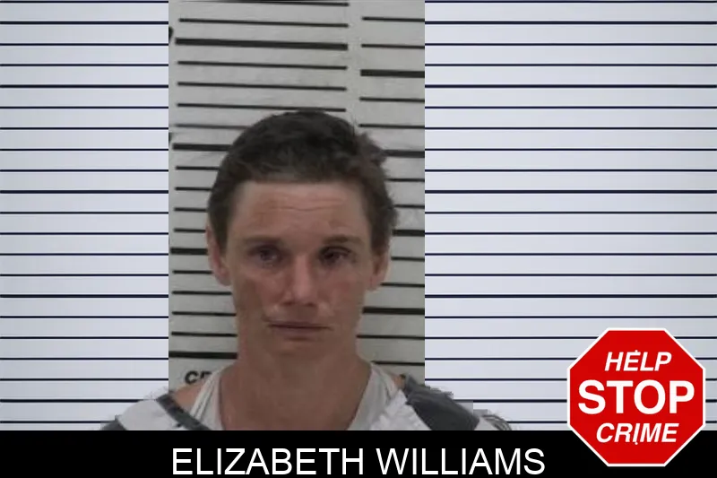 Elizabeth Williams Mugshots