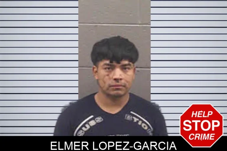 Elmer Lopez-Garcia