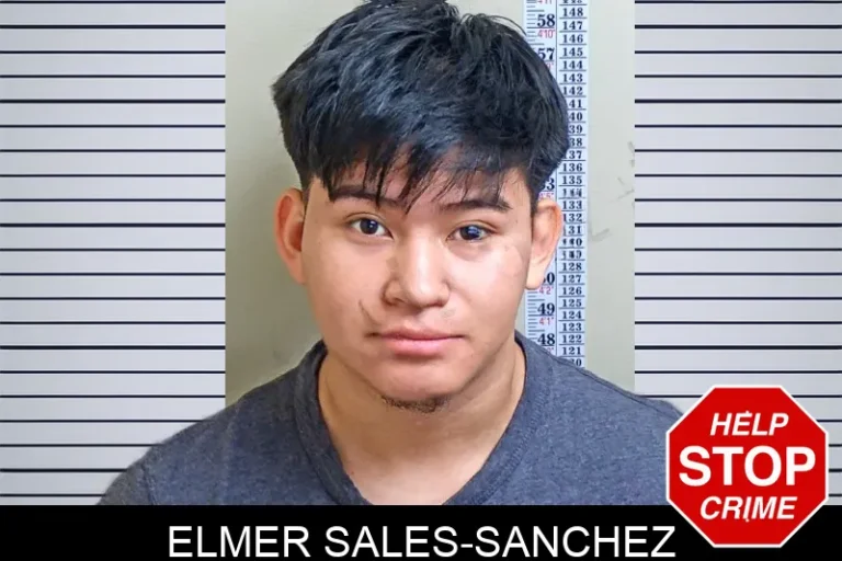 Elmer Sales-Sanchez