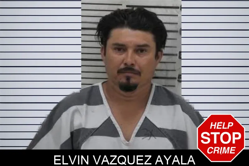 Elvin Vazquez Ayala Mugshots