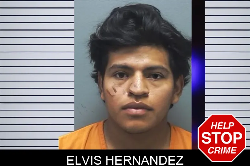 Elvis Hernandez Mugshots