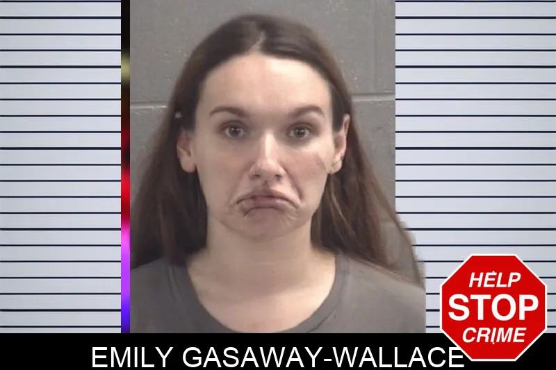 Emily Gasaway-Wallace Mugshots