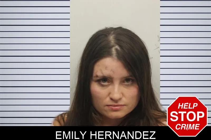 Emily Hernandez mugshot