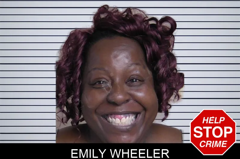 Emily Wheeler Mugshots