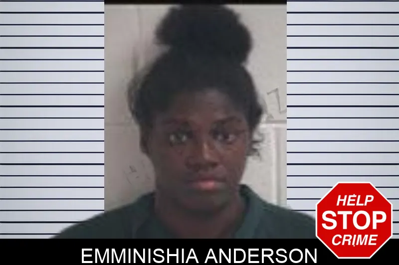 Emminishia Anderson Mugshots