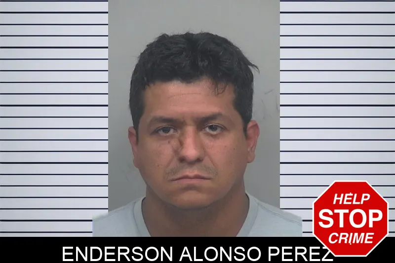 Enderson Alonso Perez mugshot