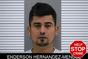 Enderson Hernandez-Mendez mugshot