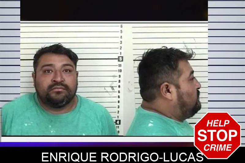 Enrique Rodrigo-Lucas