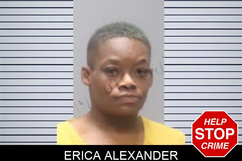Erica Alexander mugshot