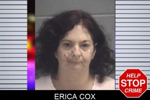 Erica Cox mugshot