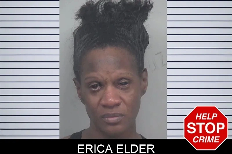 Erica Elder mugshot – Gwinnett County , Georgia Erica Elder mugshot