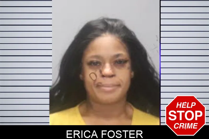 Erica Foster Mugshots