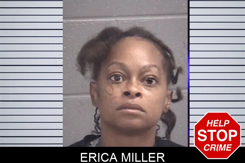 Erica Miller mugshot