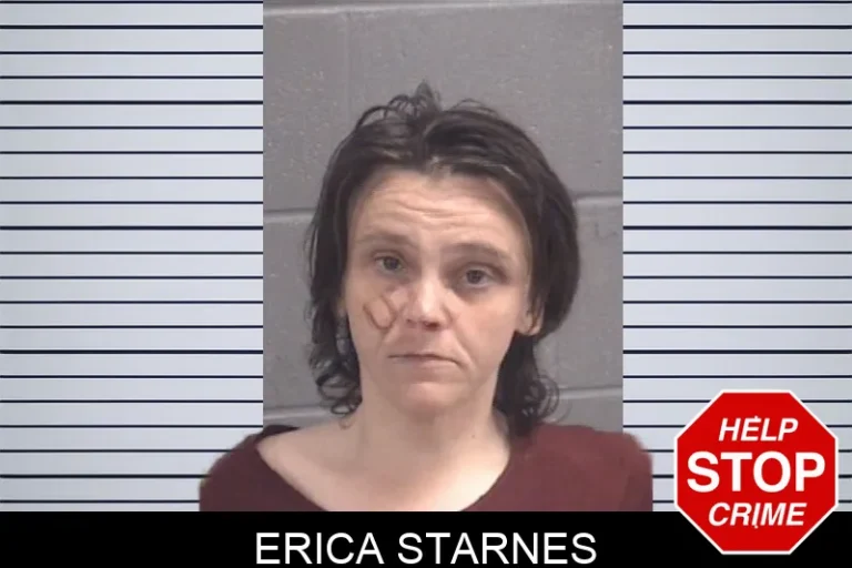 Erica Starnes mugshot – Spalding County , Georgia Erica Starnes