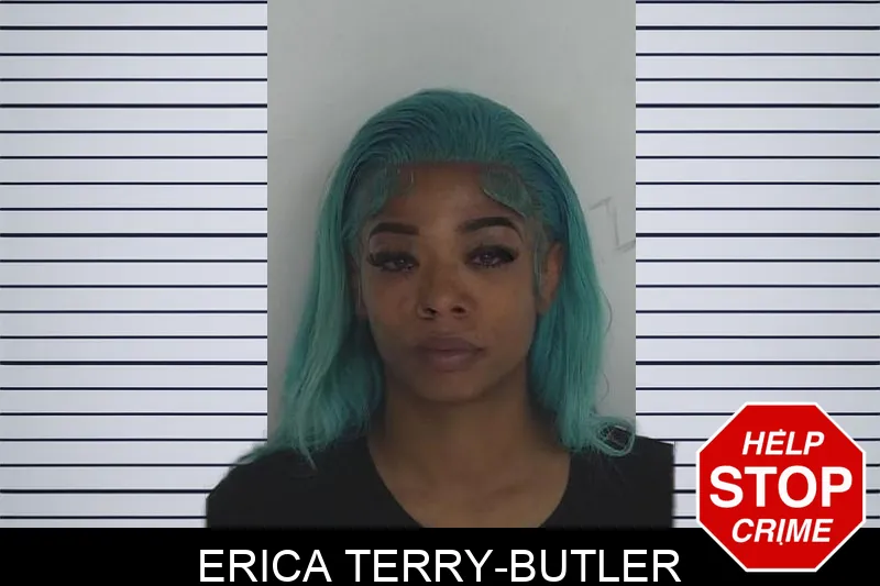 Erica Terry-Butler Mugshots