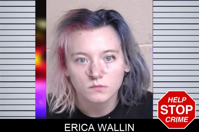 Erica Wallin