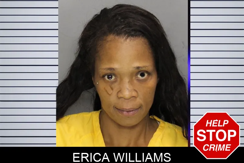 Erica Williams Mugshots