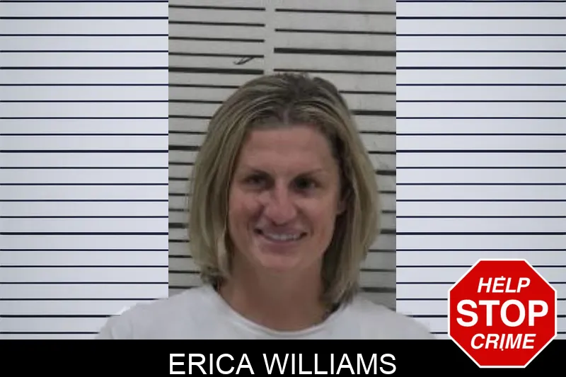 Erica Williams Mugshots
