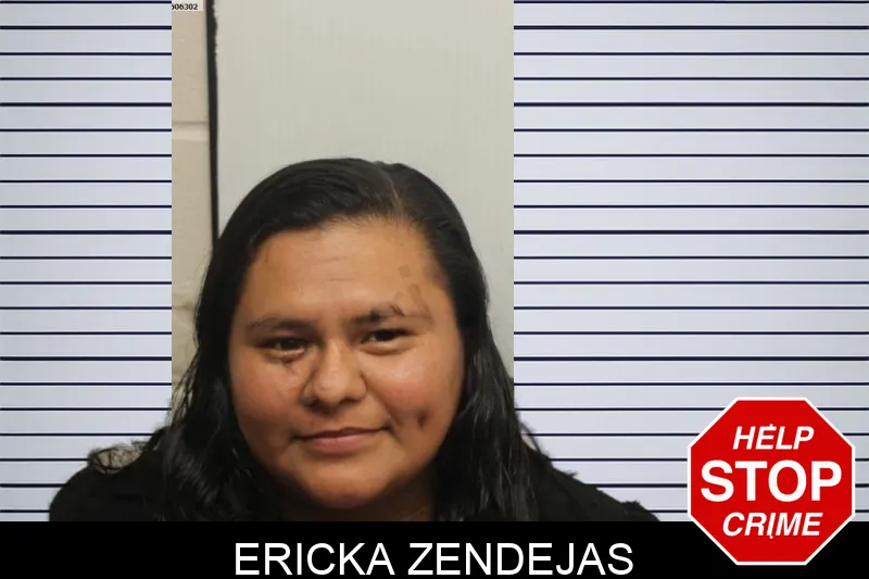 Ericka Zendejas mugshot – Chatham County , Georgia Ericka Zendejas mugshot