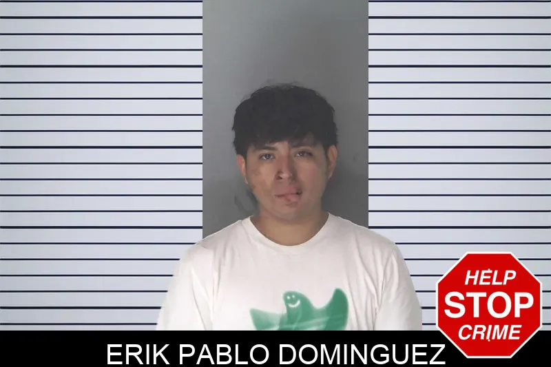 Erik Pablo Dominguez Mugshots