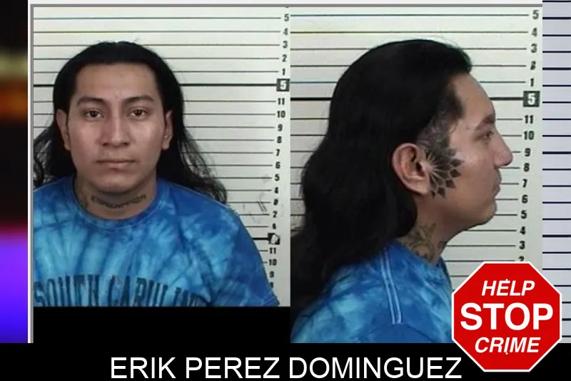 Erik Perez Dominguez