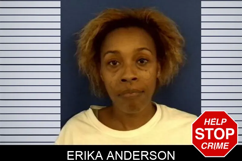 Erika Anderson mugshot – Troup County , Georgia Erika Anderson mugshot