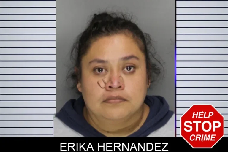 Erika Hernandez mugshot – Cobb County , Georgia Erika Hernandez