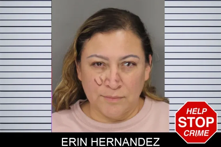 Erin Hernandez mugshot – Cobb County , Georgia Erin Hernandez