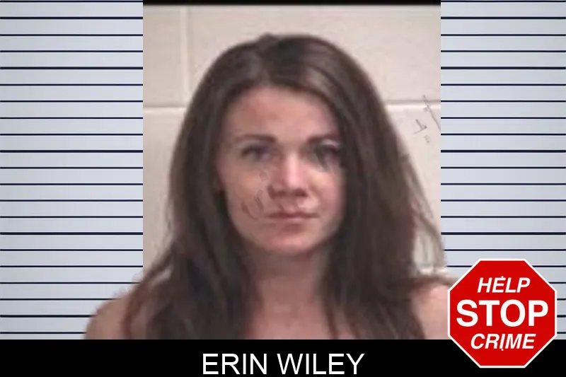 Erin Wiley Mugshots