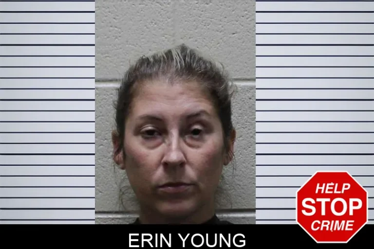 Erin Young mugshot – Floyd County , Georgia Erin Young