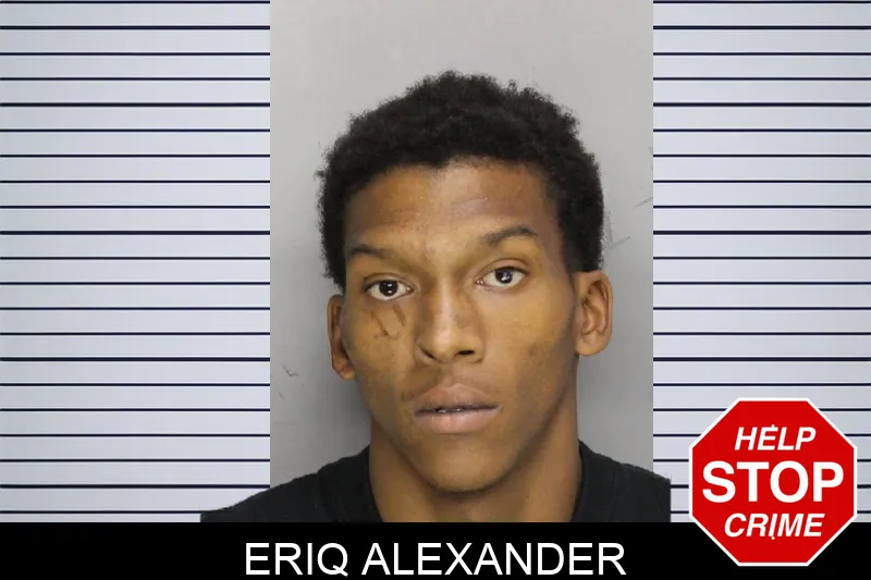 Eriq Alexander Mugshots