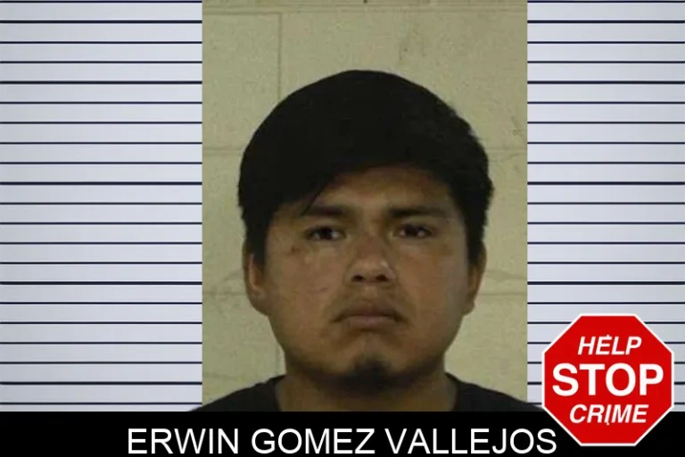 Erwin Gomez Vallejos